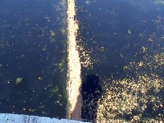 Cordouan-Bancs de sable (33)