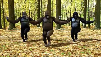 CHARI CHATTA PARI __ MONKEY DANCE __ TOO FUNNY