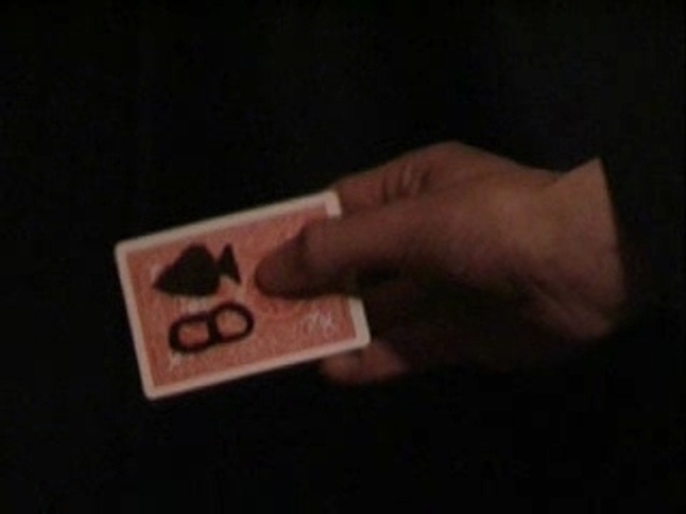 DEMO VISUAL CARD PREDICTION by magie jeremy