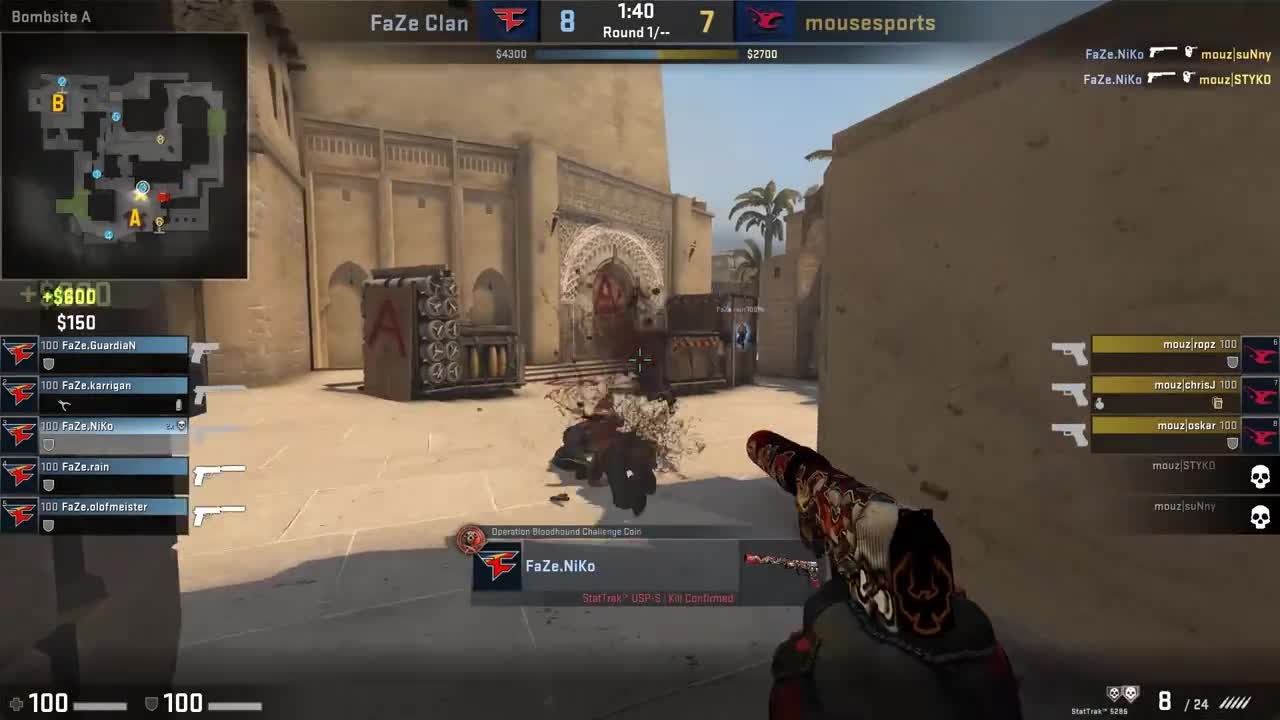 NiKo USP Plays