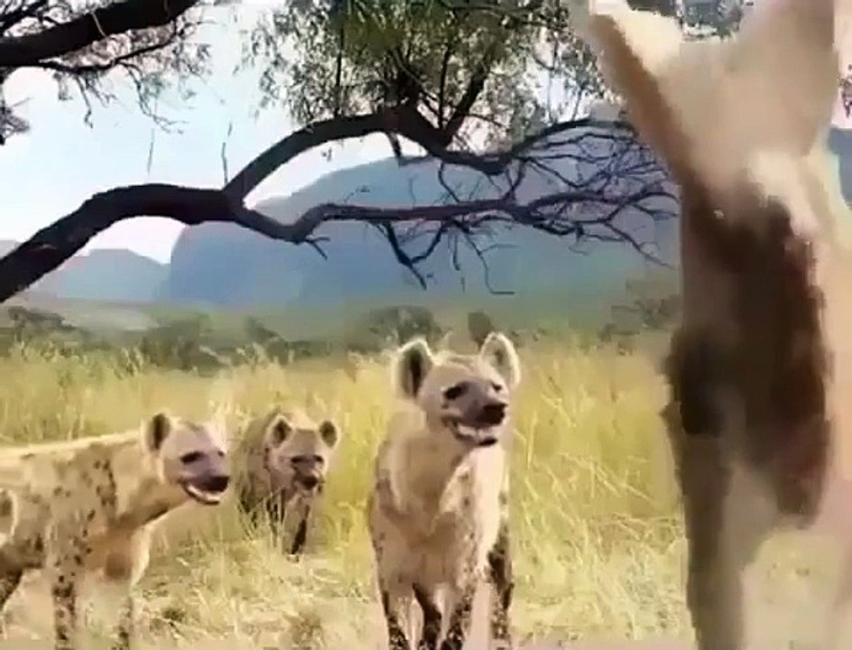 Beautiful world