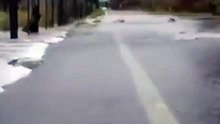 Fish run opposite to water flow