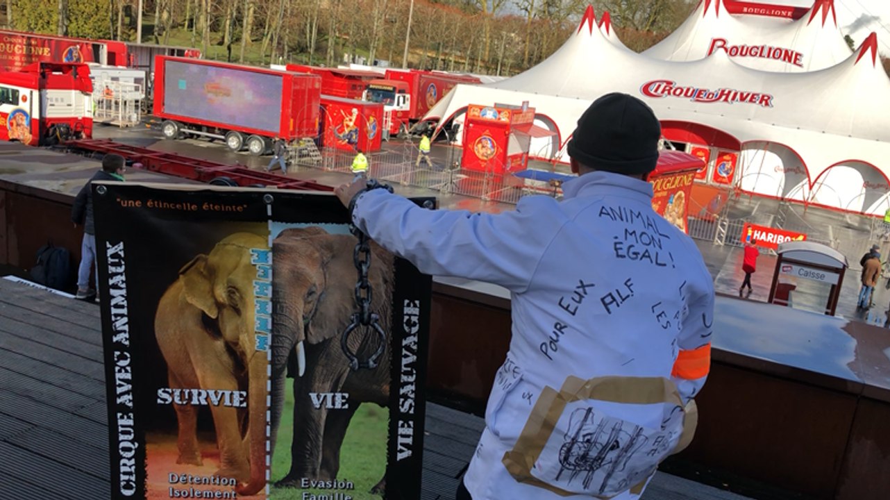Manifestation contre les cirques avec animaux