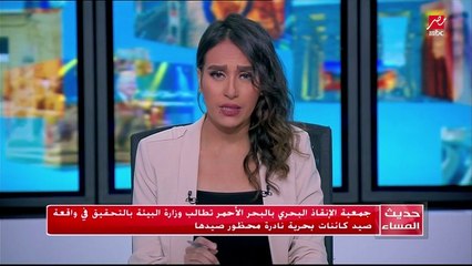 جمعية الإنقاذ البحري بالبحر الأحمر تطالب وزارة البيئة بالتحقيق في واقعة صيد الكائنات البحرية النادرة المحظور صيدها