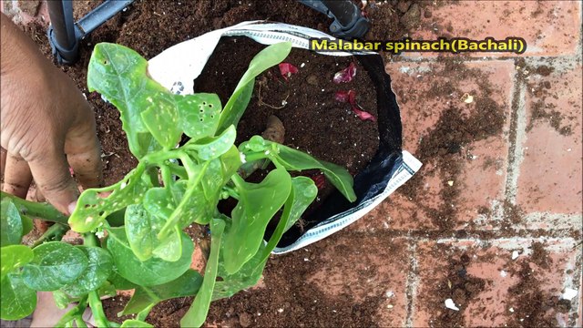 Reuse Online Shopping Covers | Best out of Waste | Recycling plastic bags | DIY home Best Idea