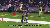 Martavis Bryant's Sideline Toe-Tap Grab & Justin Hunter's TD Catch | Steelers vs. Texans | NFL Wk 16