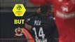 But Alassane PLEA (67ème) / Dijon FCO - OGC Nice - (3-2) - (DFCO-OGCN) / 2017-18