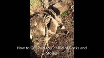 How to Get Paid to Get Rid of Rocks and Stones