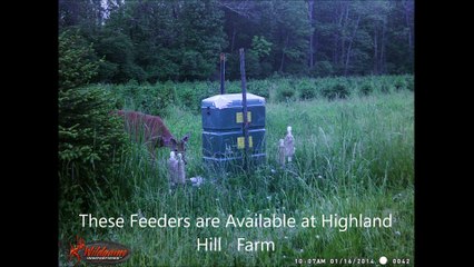 How We Are Stopping Deer Damage at a Bucks County Tree Farm