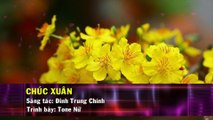 Chúc Xuân (Karaoke Beat) - Tone Nữ (Đàm Vĩnh Hưng)
