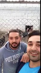 Hindi kalabalığa girmiş ne demiş (Bu ne kalabalık)