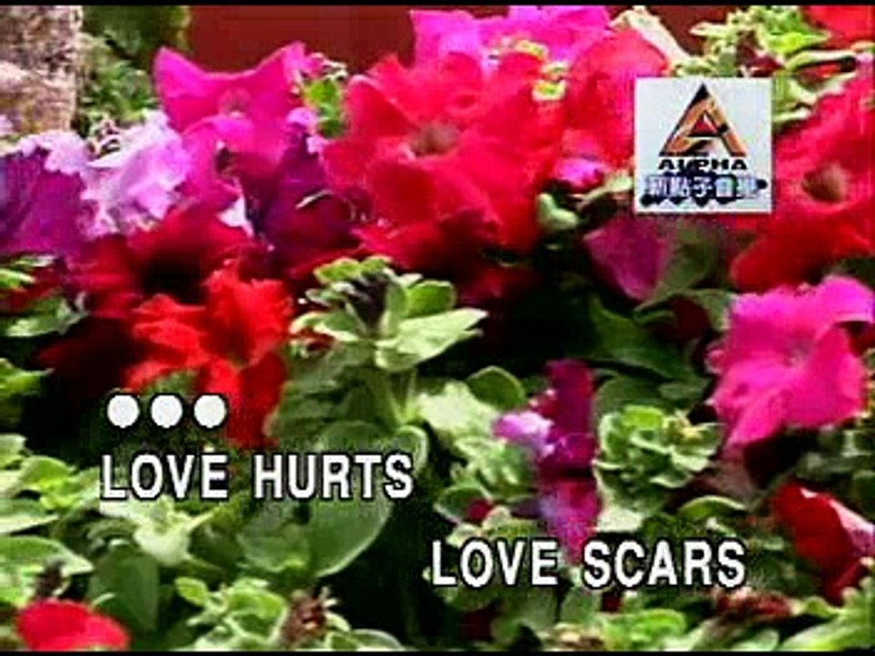 11videoke Love Hurts (stereo)