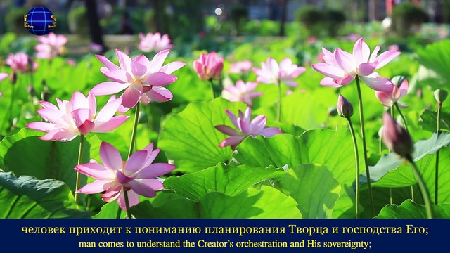 Восточная Молния｜Наш Бог Всемогущий «Истинное явление власти Творца» | Христианские гимны