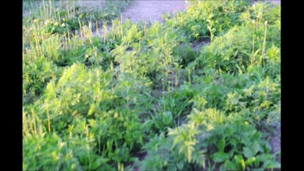 Hunting at Highland Hill farm
