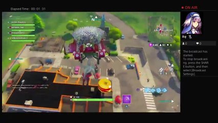 Fortnite Solo/duo/Squad with randoms (15)