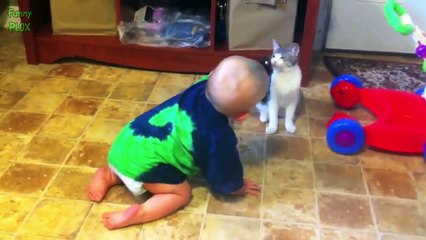 Kucing Lucu Lagi Becanda sama Bayi