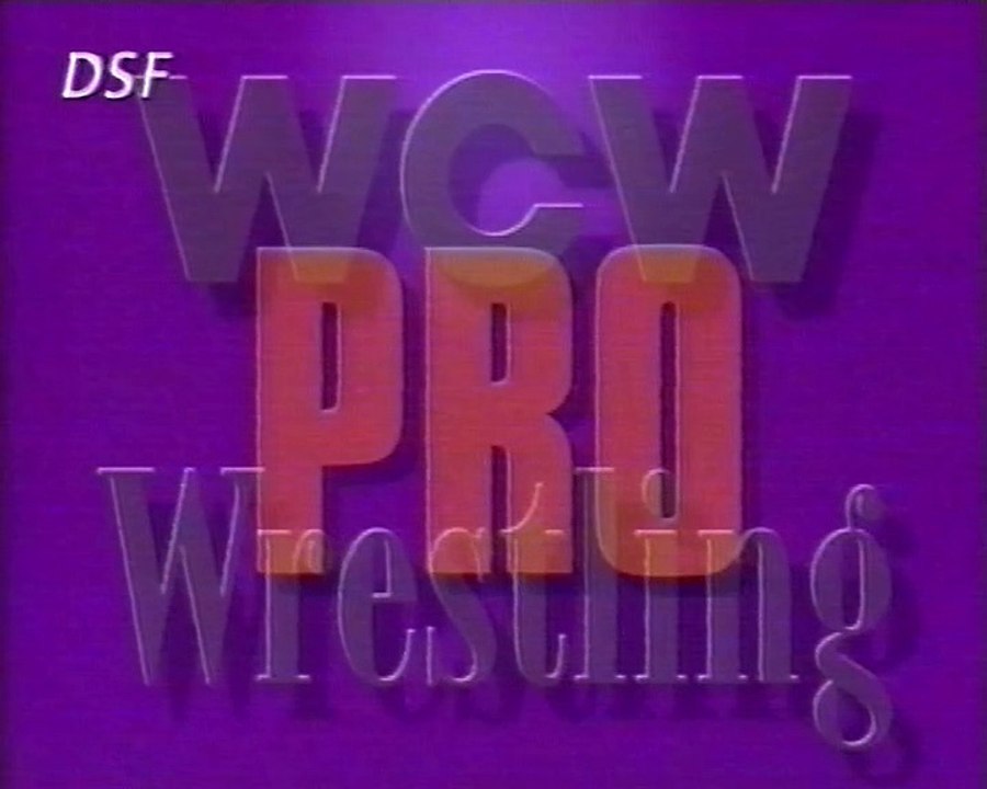 WCW Pro Wrestling DSF November 1995