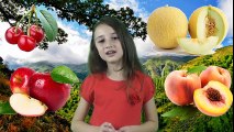 Meyveleri Tanıyalım Okul Öncesi Çocuklar için Eğitici Video
