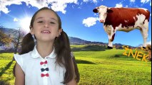 Çiftlik Hayvanlarının Yavrularını Öğreniyoruz | Çocuklar için Hayvanlar | Eğitici Video