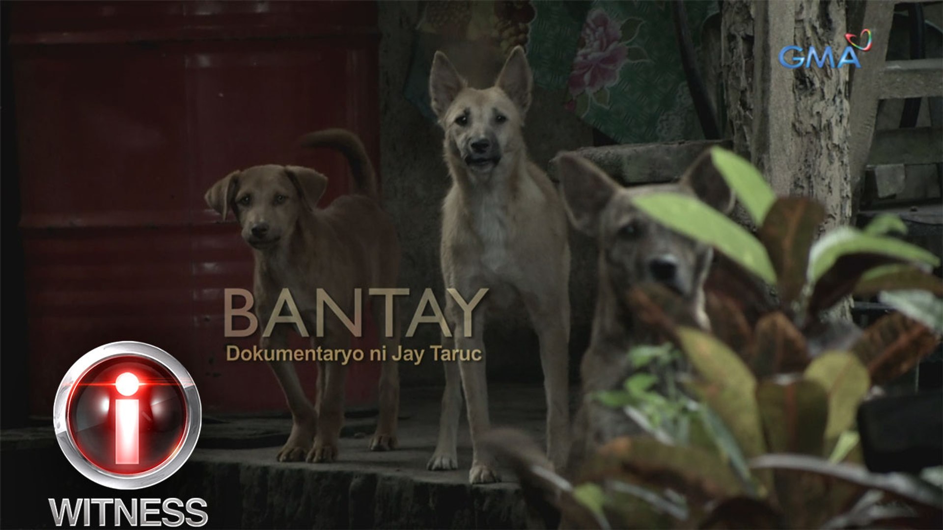 I-Witness: 'Bantay,' dokumentaryo ni Jay Taruc (full episode)