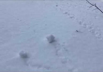Unusual Snow Phenomenon Spotted in Ottawa
