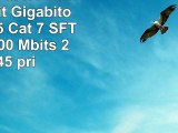 BIGtec 10m CAT7 LAN Câble droit Gigabitorange  RJ45 Cat 7 SFTP PIMF 1000 Mbits 2 x