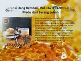 Garansi Uang Kembali, WA  62 813-9855-0306, Madu dari Sarang Lebah