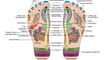 Top 10 Health Benefits of Foot Massage and Reflexology