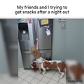 Friends Helping Friends