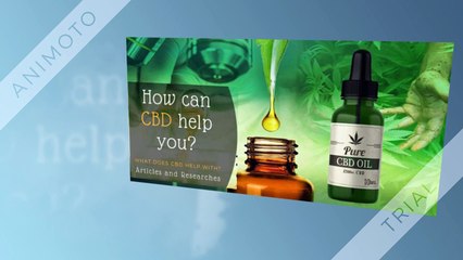 CBD Pure Oil Drops - Reduces Blood Sugar Levels
