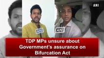 TDP Unsure About Govt's Assurance On AP Bifurcation Act