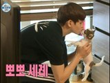 【TVPP】Yo seob(BEAST) - Pet dog Yang-gang, 요섭(비스트) - 애완견 양갱이 소개 @ I live Alone