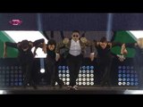 【TVPP】PSY - Bird, 싸이 - 새 @ PSY concert 'Happening'