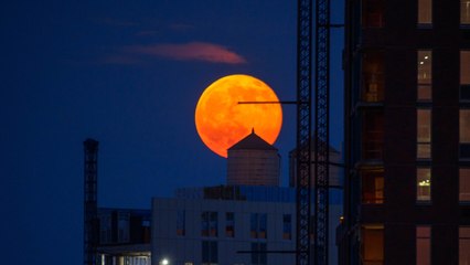 You Won't Want To Miss This Week's 'Strawberry Moon’!