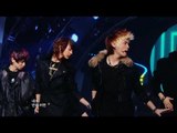 【TVPP】SHINee - Get Down   Ring Ding Dong, 샤이니 - 겟 다운   링딩동 @ Show Music core Live