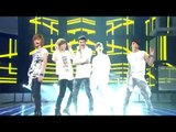 【TVPP】SHINee -  Up & Down, 샤이니 - 업 앤 다운 @ Comeback Stage, Show Music core Live