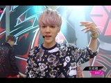 【TVPP】EXO - Growl, 엑소 - 2013년 최고 대세, '으르렁' @ Year-end Special, Show! Music Core Live