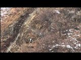 White-Naped Crane - Wildlife in the DMZ EP03, #02, 재두루미, 두루미, 산양, 노루, 멧돼