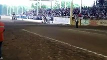 Horse with faulty brakes