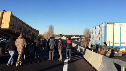 Les agriculteurs manifestent à Arles contre la politique agricole française