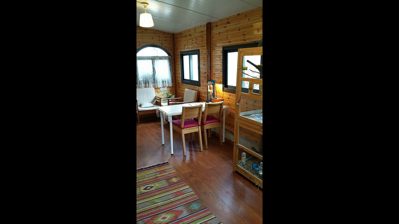 פינה בלב - טיפול באמצעות בעלי חיים