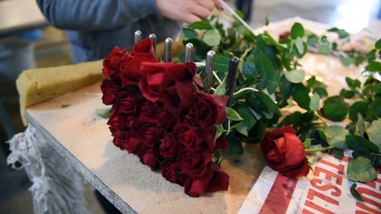 Gül seralarında 14 Şubat telaşı - MERSİN