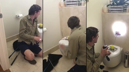 Serpent caché dans la tuyauterie des toilettes