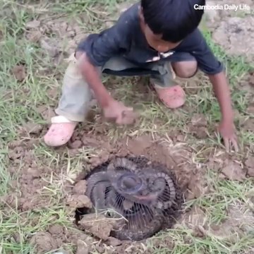 Ce gamin indonésien nous montre comment faire un piège à serpents ultra efficace