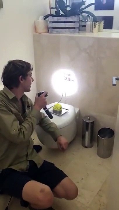 Regardez ce qui se cachait dans la tuyauterie des toilettes