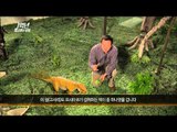 설특집 MBC 다큐스페셜 - 최초의 뿔공룡 인롱은 어떤 공룡? 1억 6000만 년 전으로 출발! 20140127