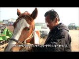 MBC 다큐스페셜 - 아버지의 사랑을 독차지 하는 자식이 아닌 애마? 20131118