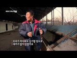 MBC 다큐스페셜 - 친환경 가축에서 생태교란종으로, 뉴트리아 확산 이유 20140113