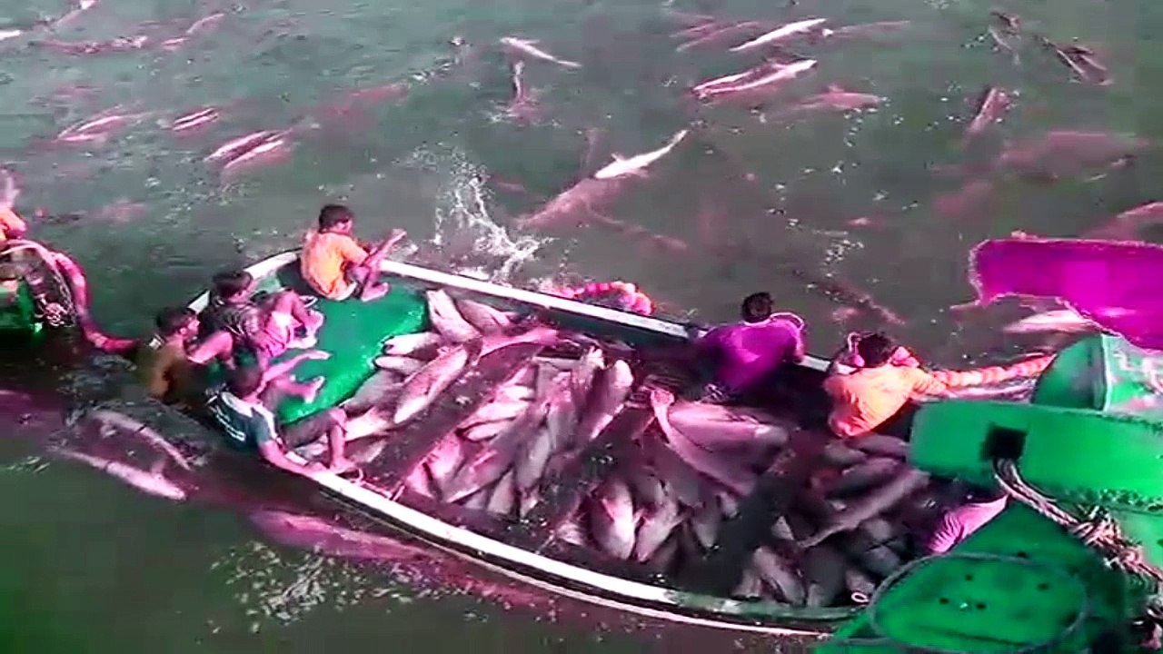Tuna Fishing Caught on Tape in SEA