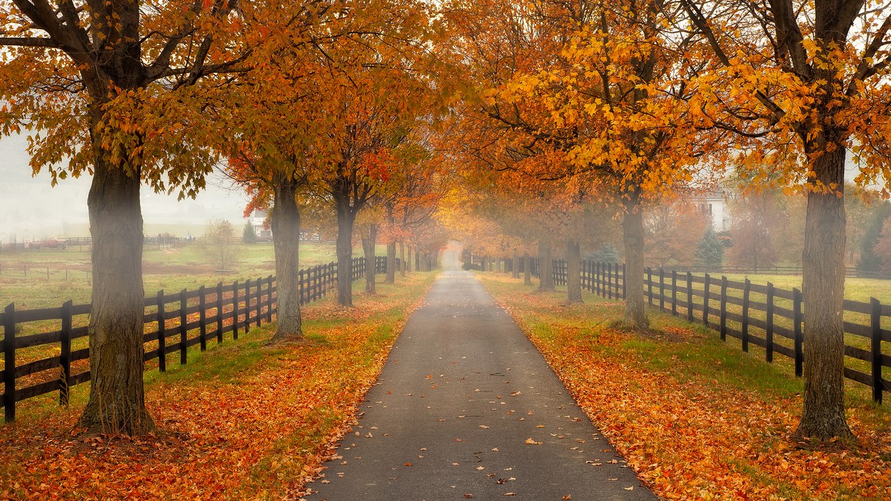 12 Best Bike Trails for Fall